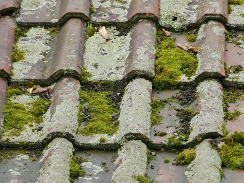 roof roofing tiles old