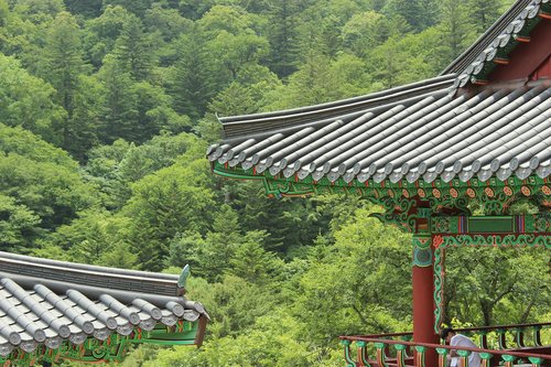 roof tile  temple  buddhism