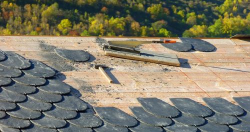 roofing carpenter roofer