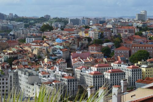 roofs view city