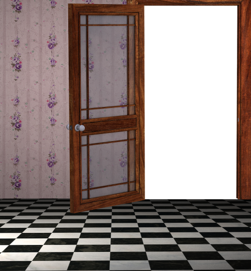 room floor door