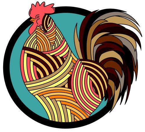 rooster poultry animal