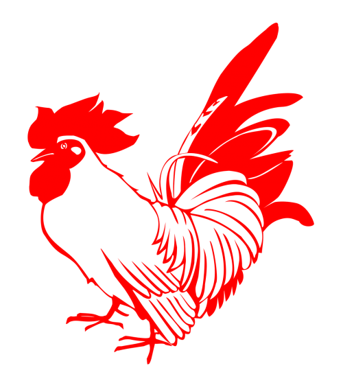 rooster chicken red