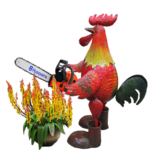 rooster pruning plant
