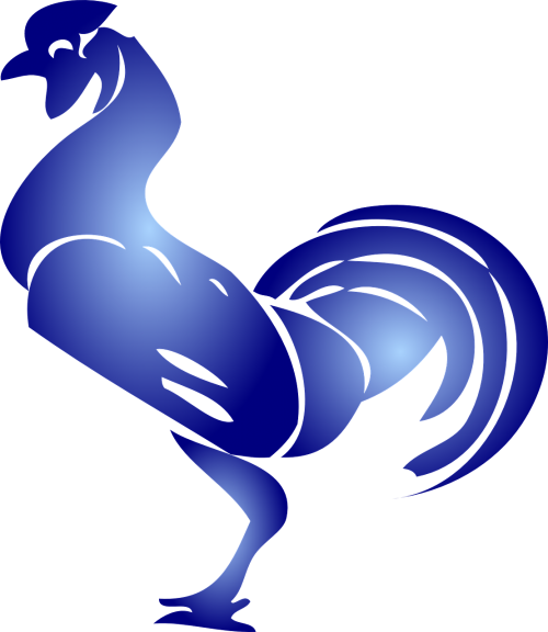 rooster blue animal