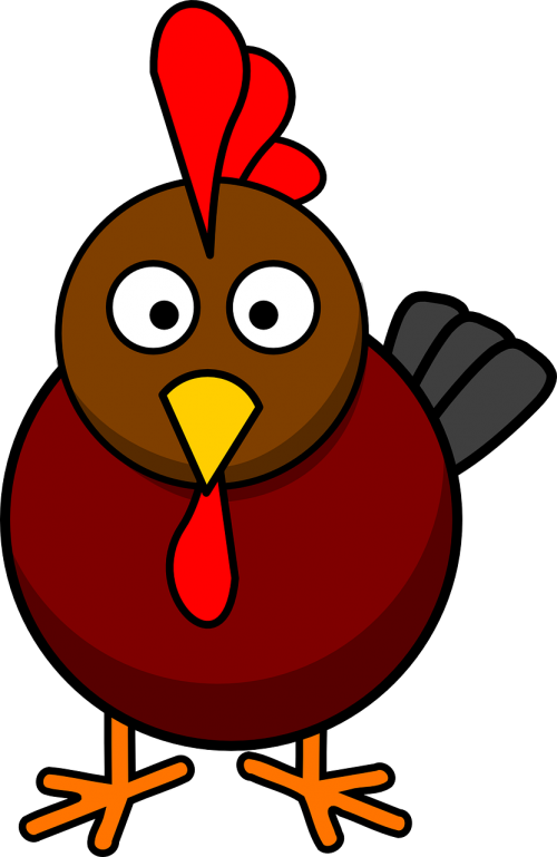 rooster cock cockerel