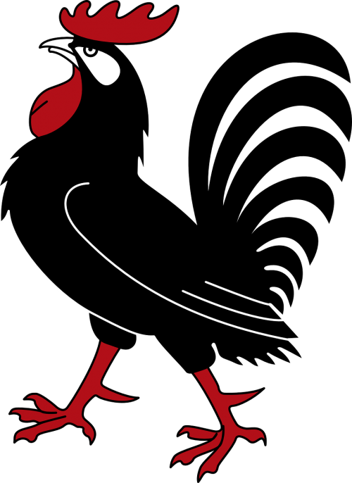 rooster black red