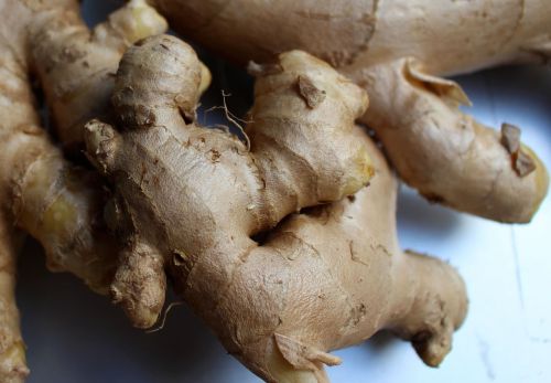 root ginger spice