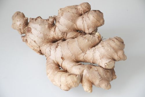 root ginger useful