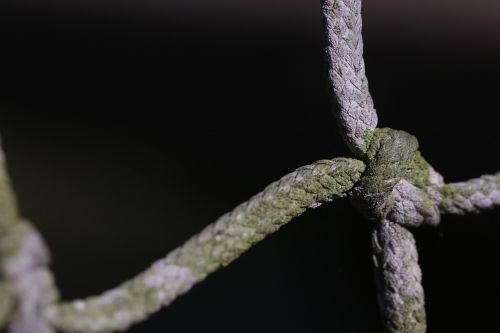rope knot detail