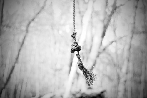rope  tree  swing