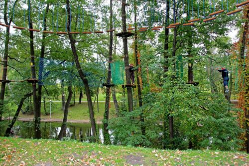 rope park monkey grove climbing