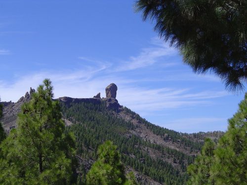 roque pine gran canaria