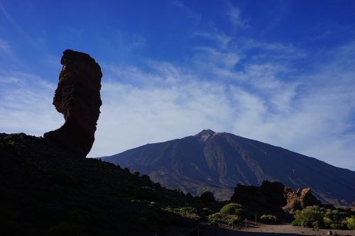 roque cinchado stone tree finger of god