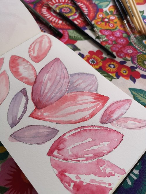 rosa  watercolor  petals