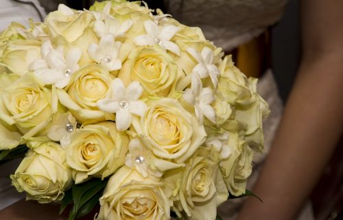 rose yellow bouquet