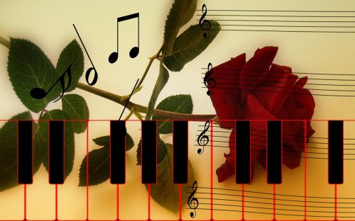 rose piano piano keys
