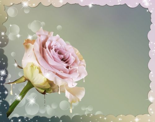 rose flower graphic