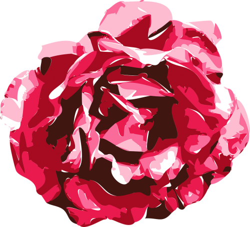 rose vector graphics