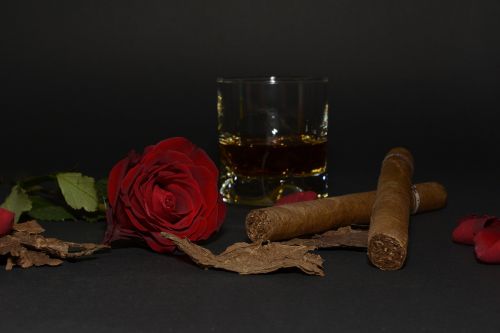 rose red rose cigar