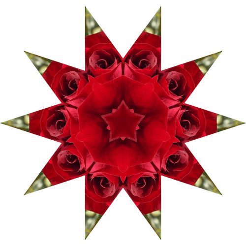 rose star mandala
