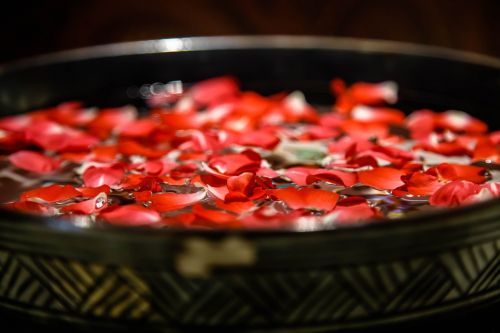 rose petal bronze vessels