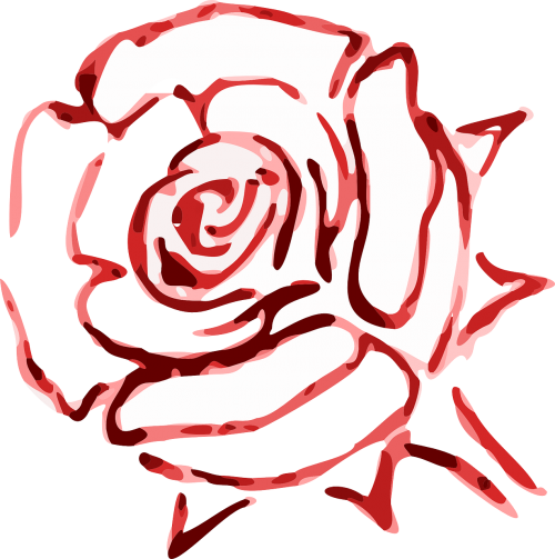 rose blossom flower