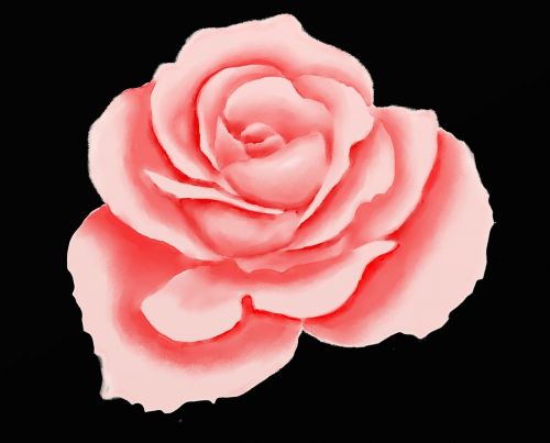 rose digital paint
