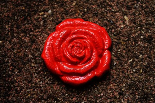 rose gypsum painted