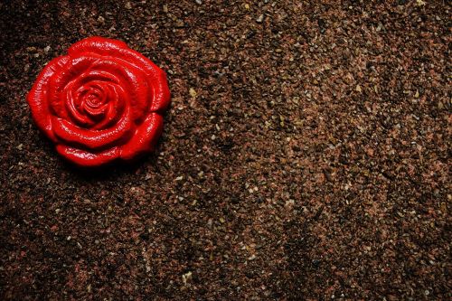 rose gypsum painted