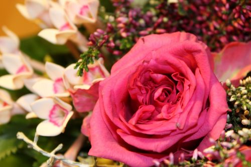 rose pink bouquet