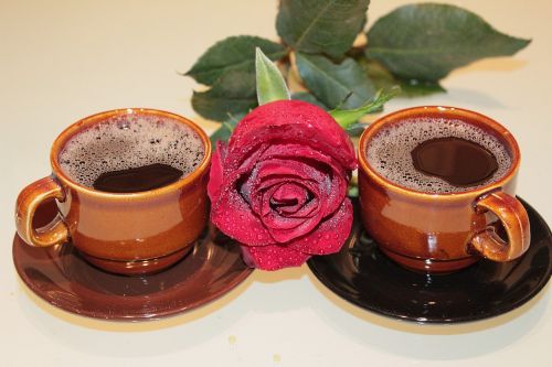 rose coffee cups