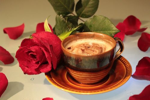 rose coffee cup