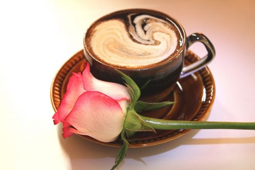 rose cup of coffee drink