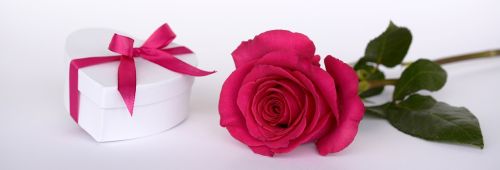 rose heart gift