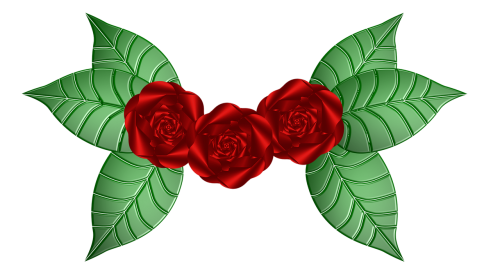 rose flower green