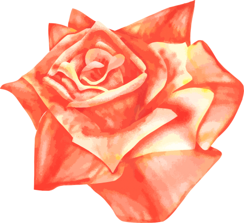 rose airbrush vector