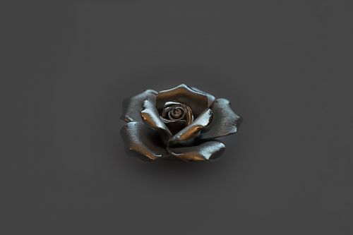 rose silver romance
