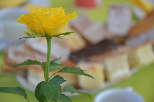 rose flower coffee