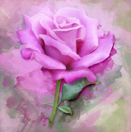 rose paint art
