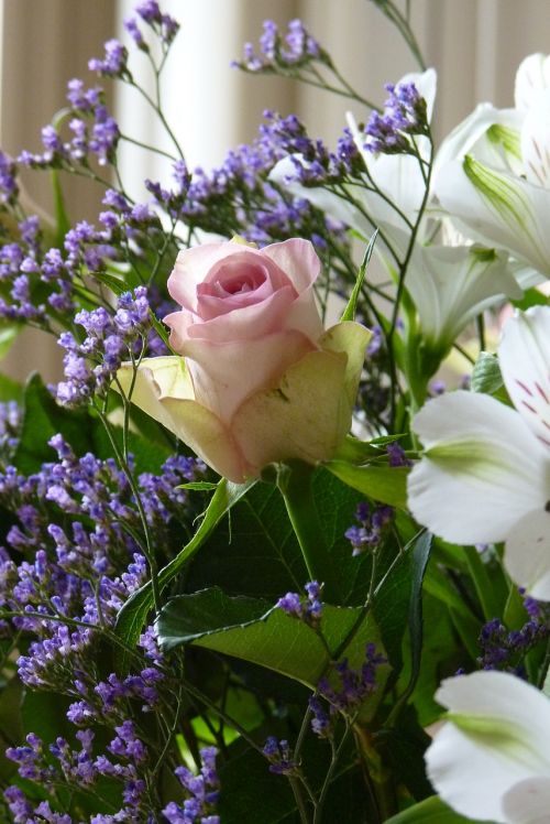 rose bouquet photography