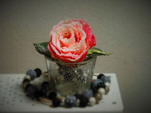 rose vase decoration