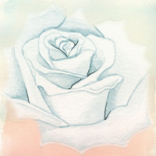 rose background watercolor