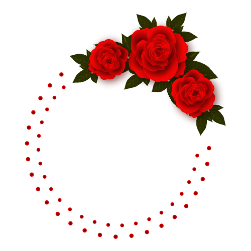 rose flowers frame