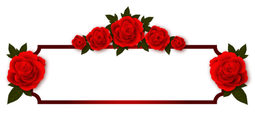 rose flowers plate