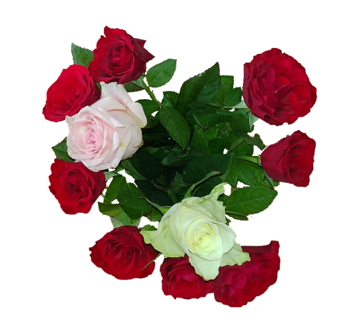 rose bouquet love