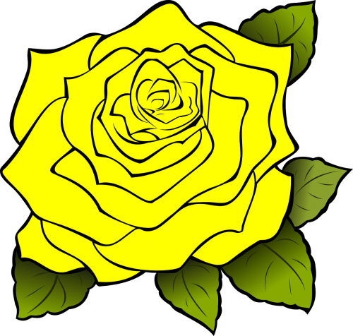 rose yellow drawing