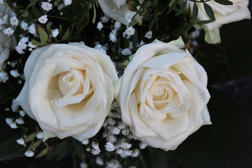 rose  flower  wedding