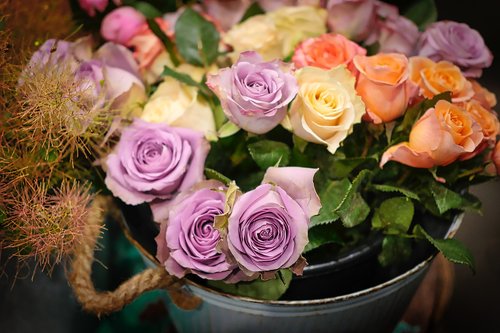 rose  arrangement  love