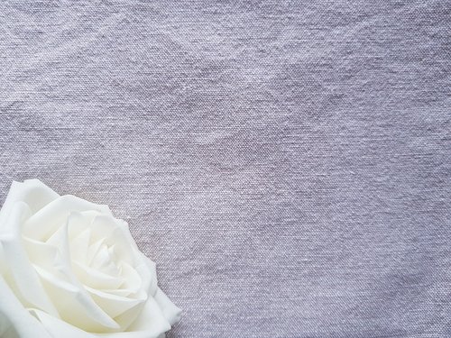 rose  linen  white